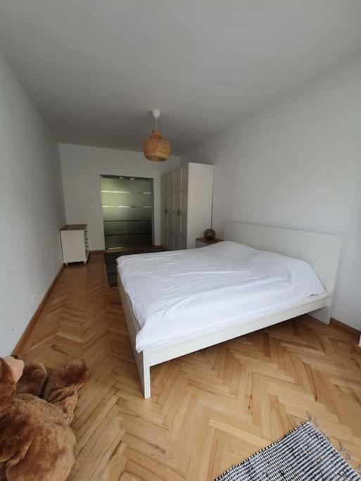 Spacious And Quiet 1Br Apartment In Floreasca Бухарест Экстерьер фото